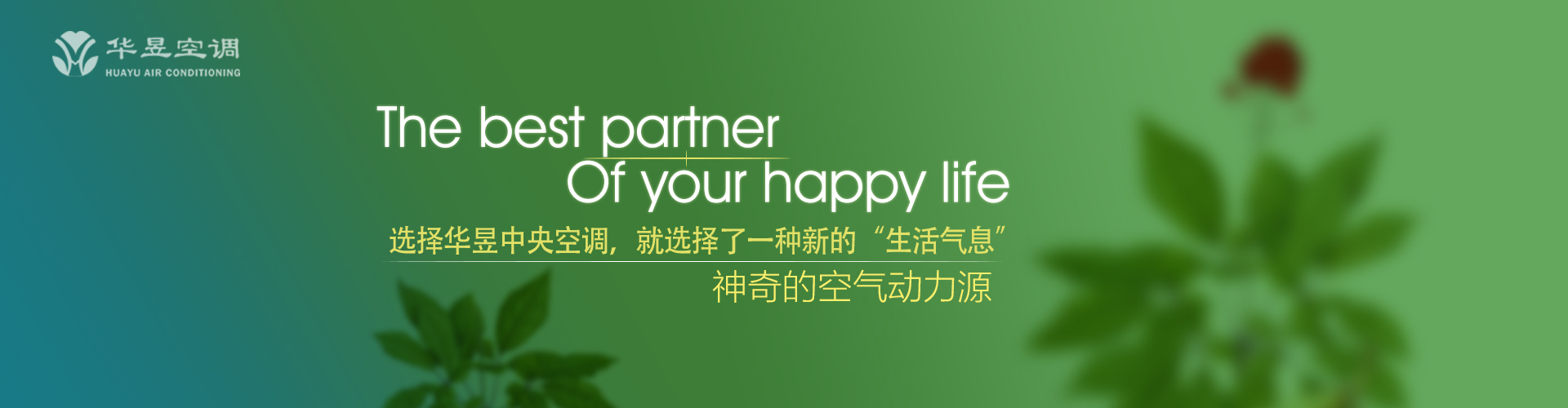 拔地倚天网
